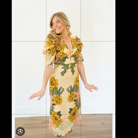 ✅ Farm Rio Linen Floral Arabesque Puff Sleeve Midi Dress – XSmall - Picture 9 of 16